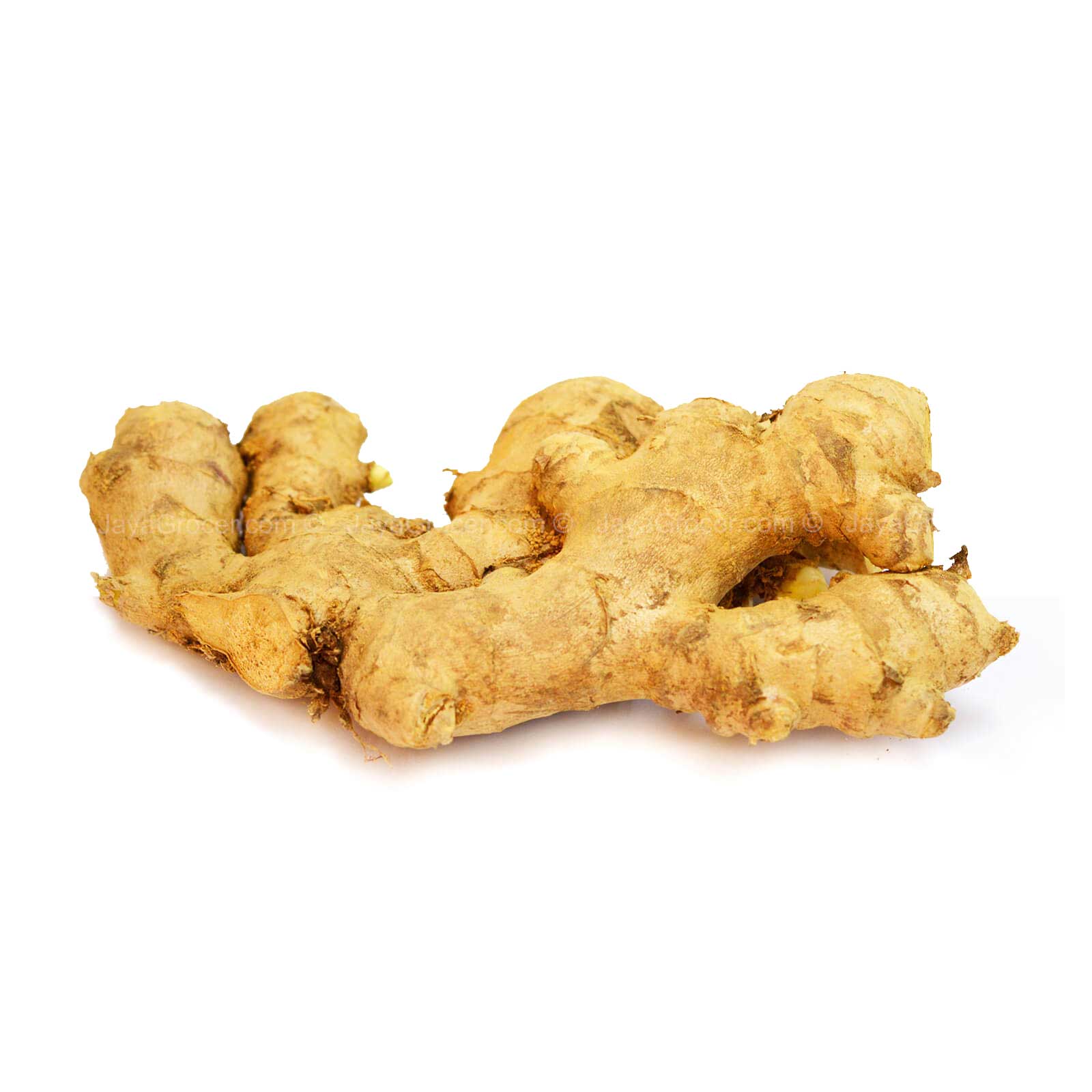 Bentong Ginger